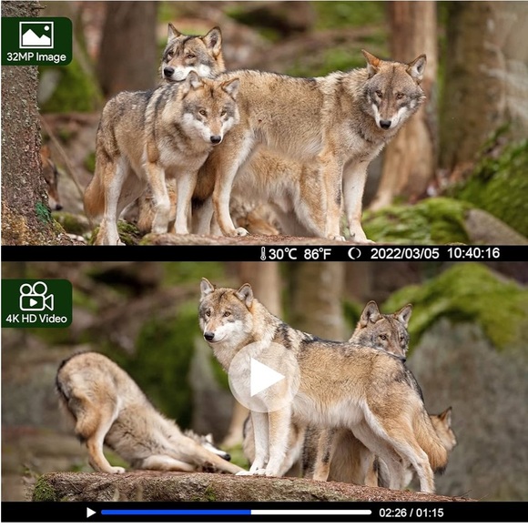 Trail Camera - Picture 11 of 13